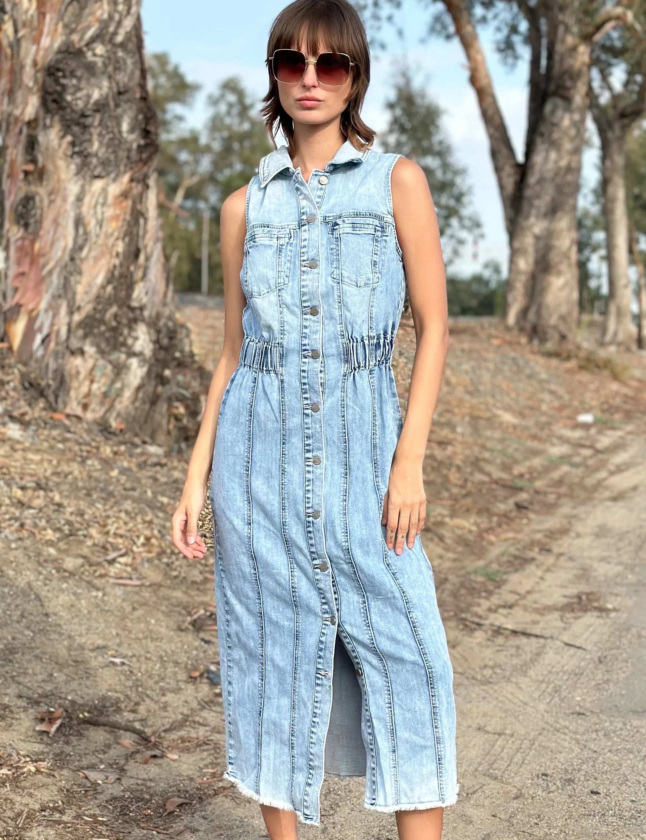 Alice Denim Dress