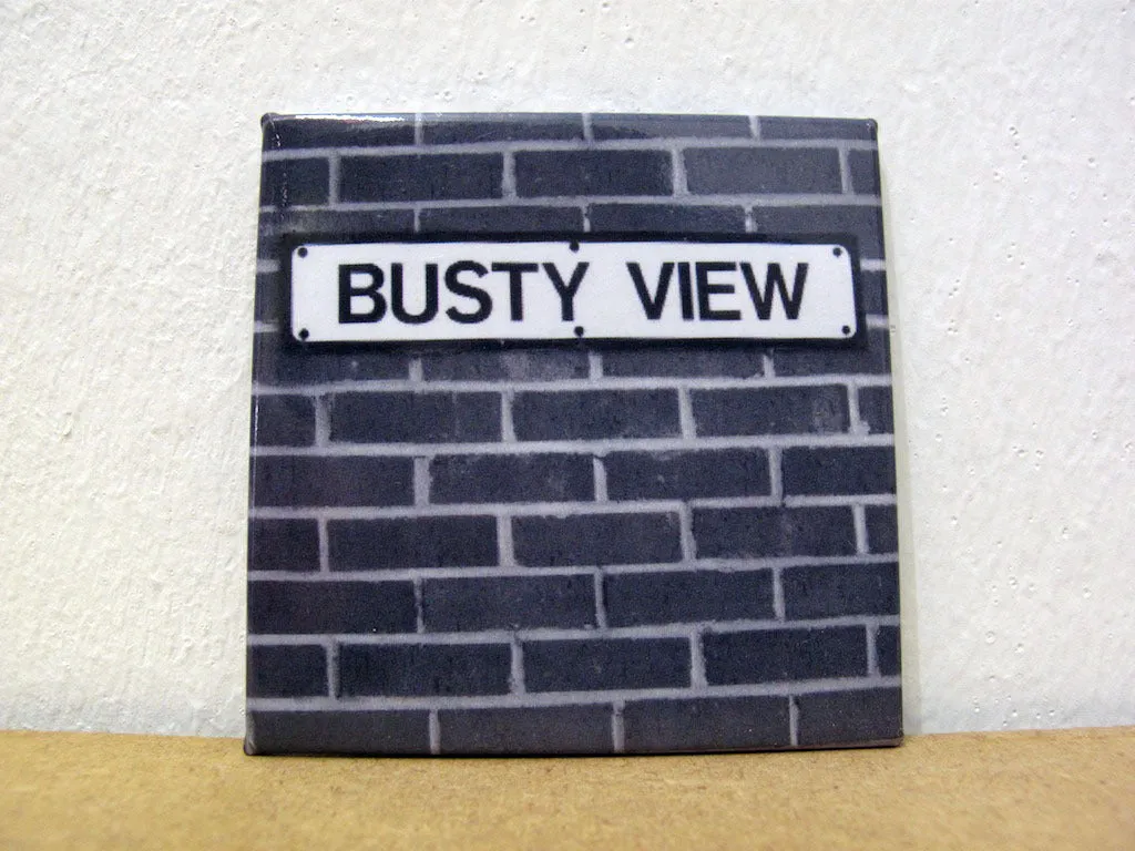 BUSTY VIEW - Fridge Magnet